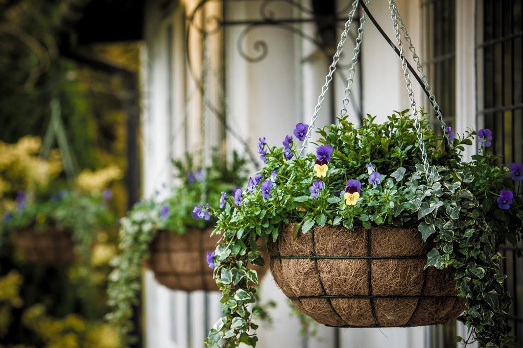 Swallow Churchgate Hotel Гарлоу Екстер'єр фото